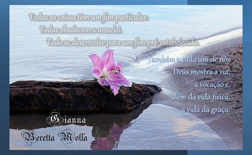 90. Dio segna la via