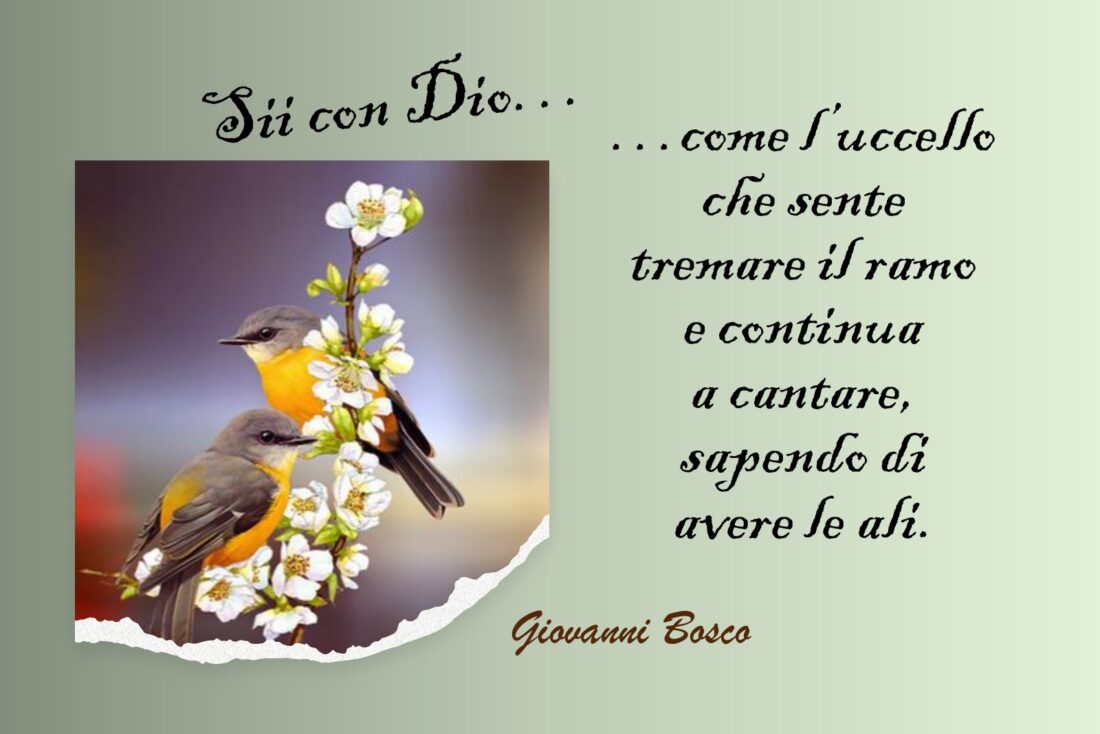 Sappi di avere le ali