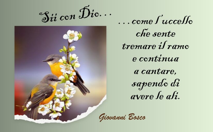 Sappi di avere le ali